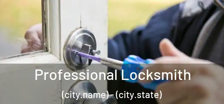  Professional Locksmith (city.name) - (city.state)